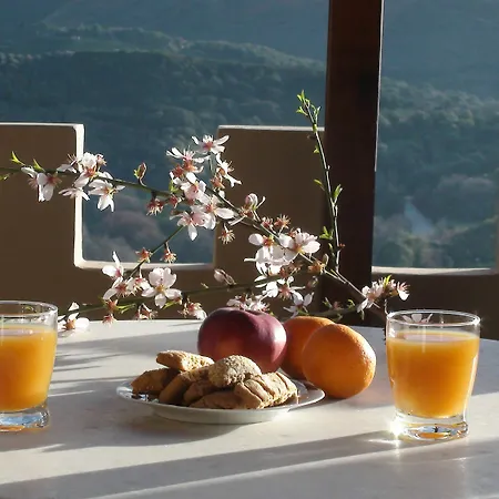 Aori Hillside *